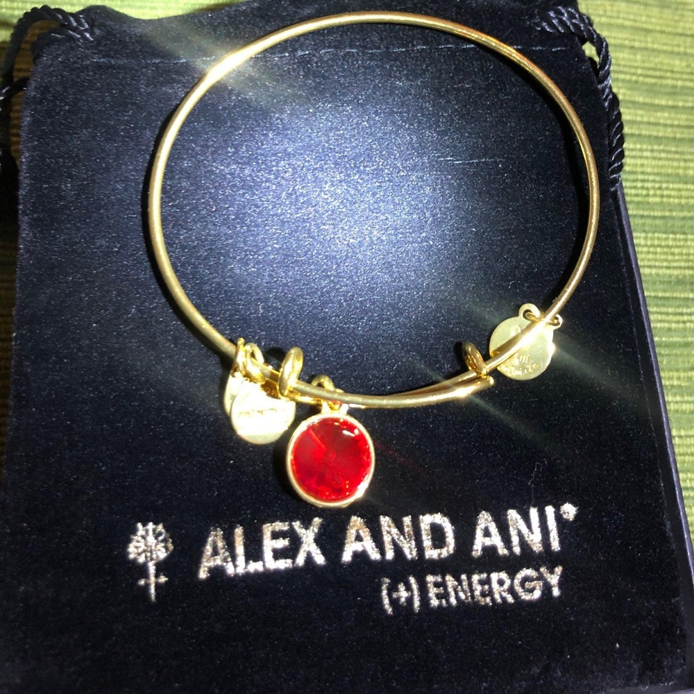 Alex and Ani Rafaelia Bangle Bracelet 2.5"